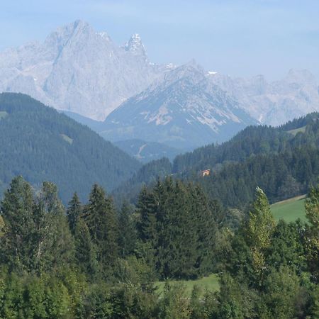 ホテル Haus Dachstein Schnitzer エーベン・イム・ポンガウ エクステリア 写真