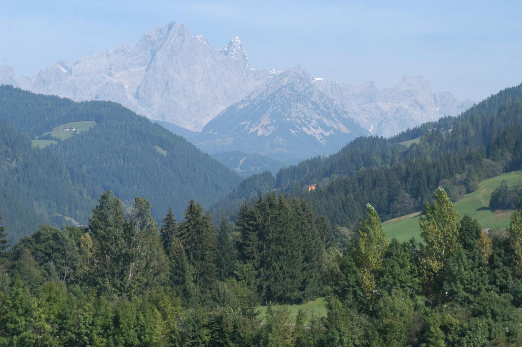 ホテル Haus Dachstein Schnitzer エーベン・イム・ポンガウ エクステリア 写真