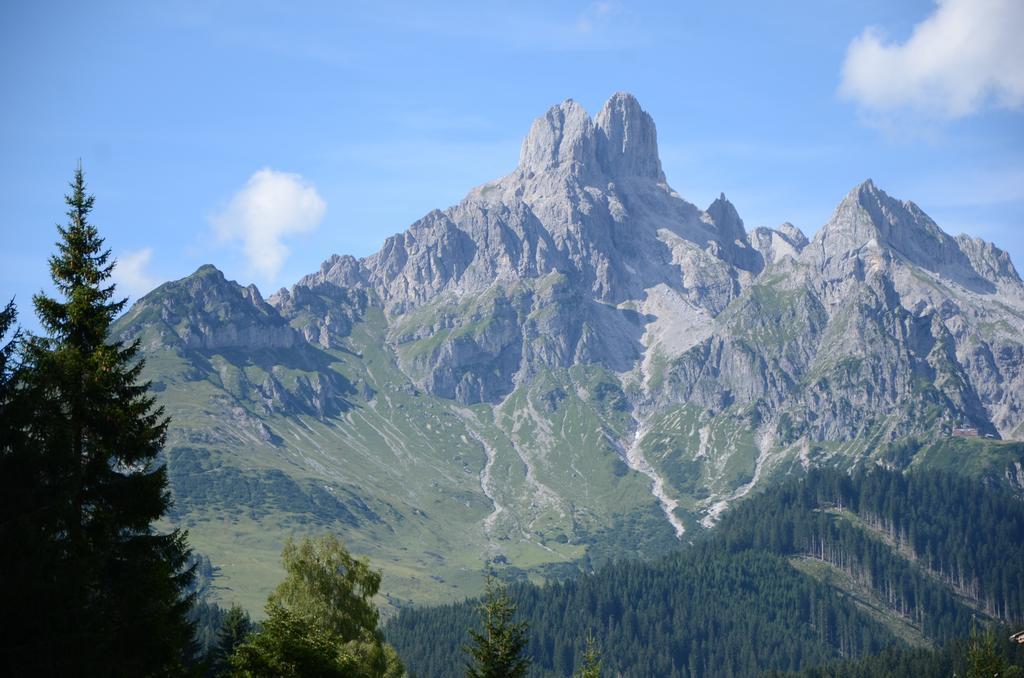 ホテル Haus Dachstein Schnitzer エーベン・イム・ポンガウ エクステリア 写真